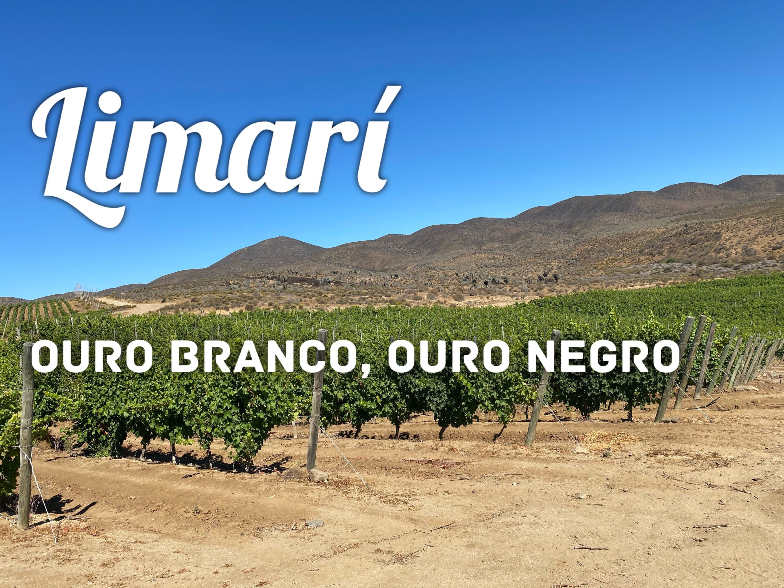 Limarí – Ouro branco, Ouro negro