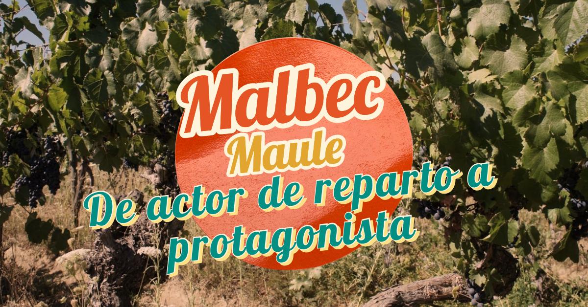 Malmau Malbec Maule – De Actor de Reparto a Protagonista