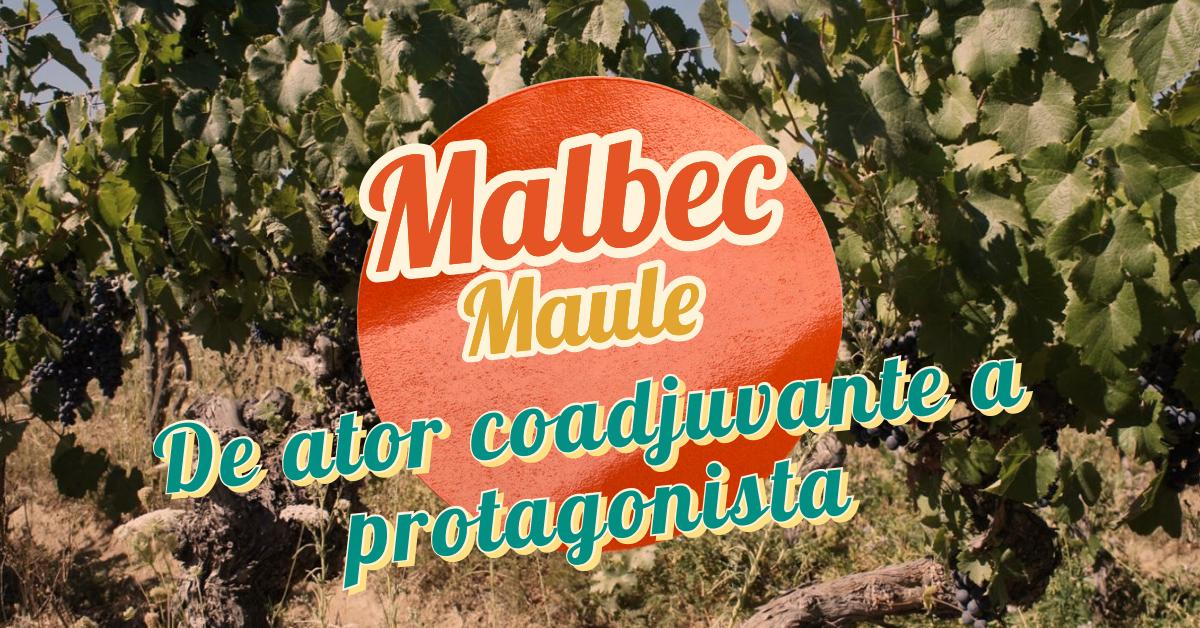 Malmau – de ator coadjuvante ao papel principal