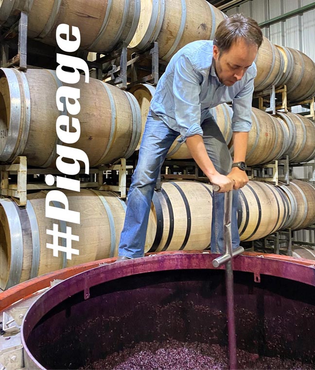 Entre Lagares e Tanques Abertos – A arte da fermentação em nossa vinícola