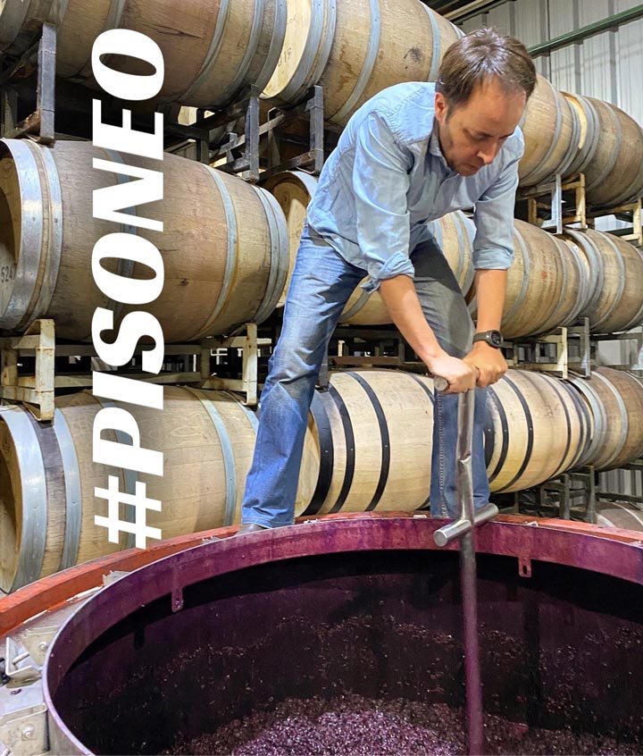 Among Lagares and Open Vats – The craftsmanship of fermentation in our winery