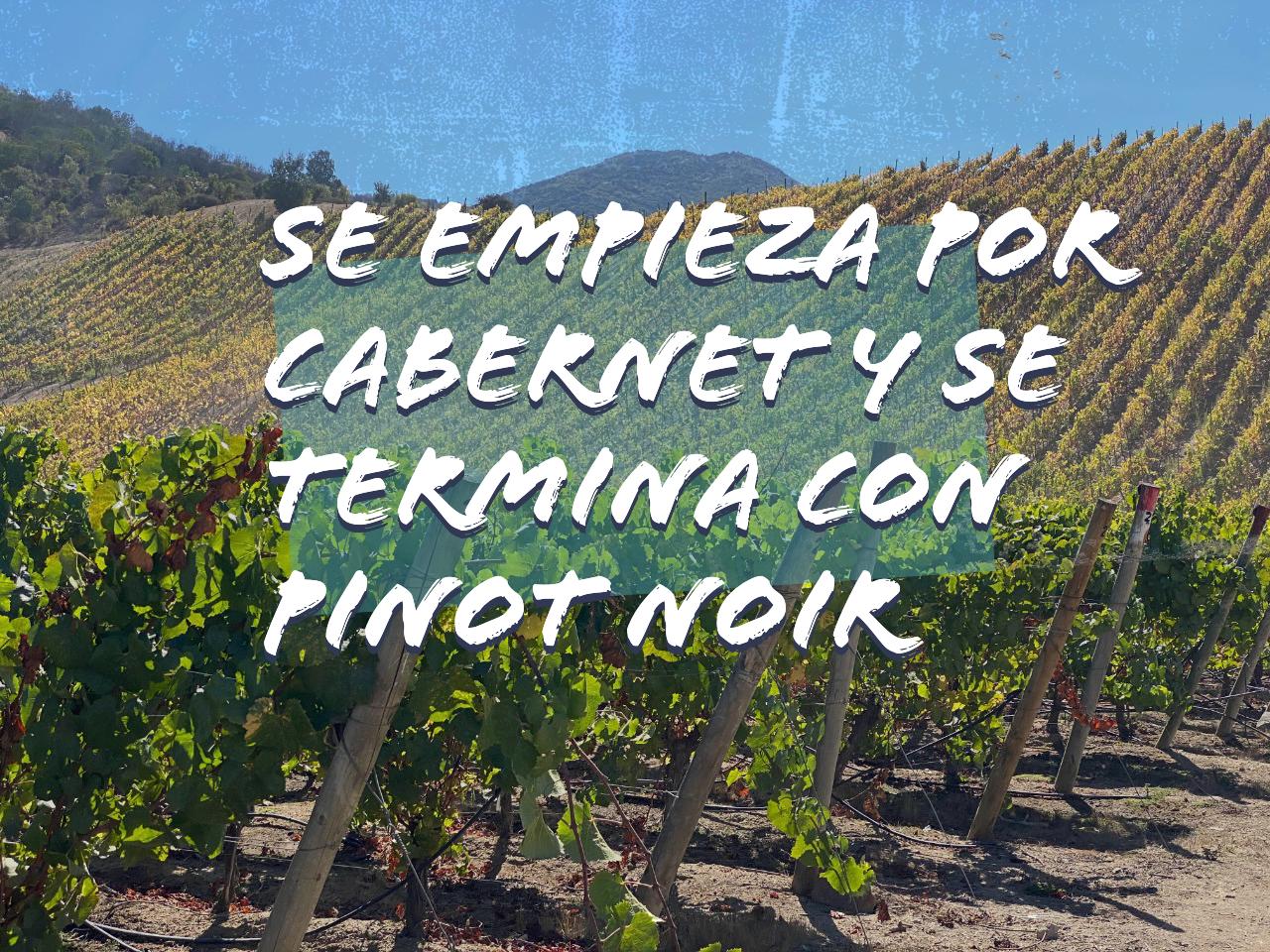 Se empieza por Cabernet y se termina con Pinot Noir