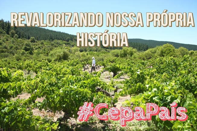 PAÍS – Nem só de Cabernet vive o homem