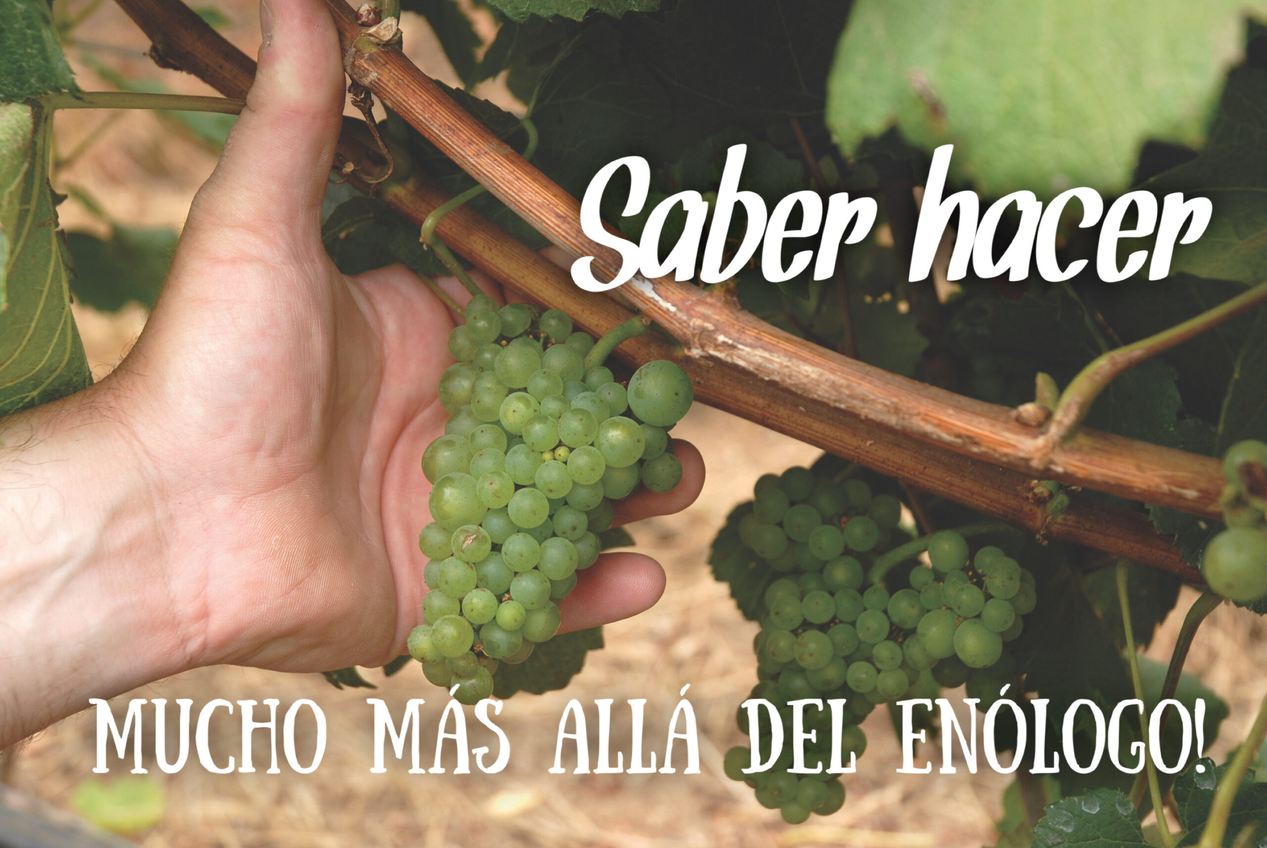 Terroir, o la tercera pata de la mesa