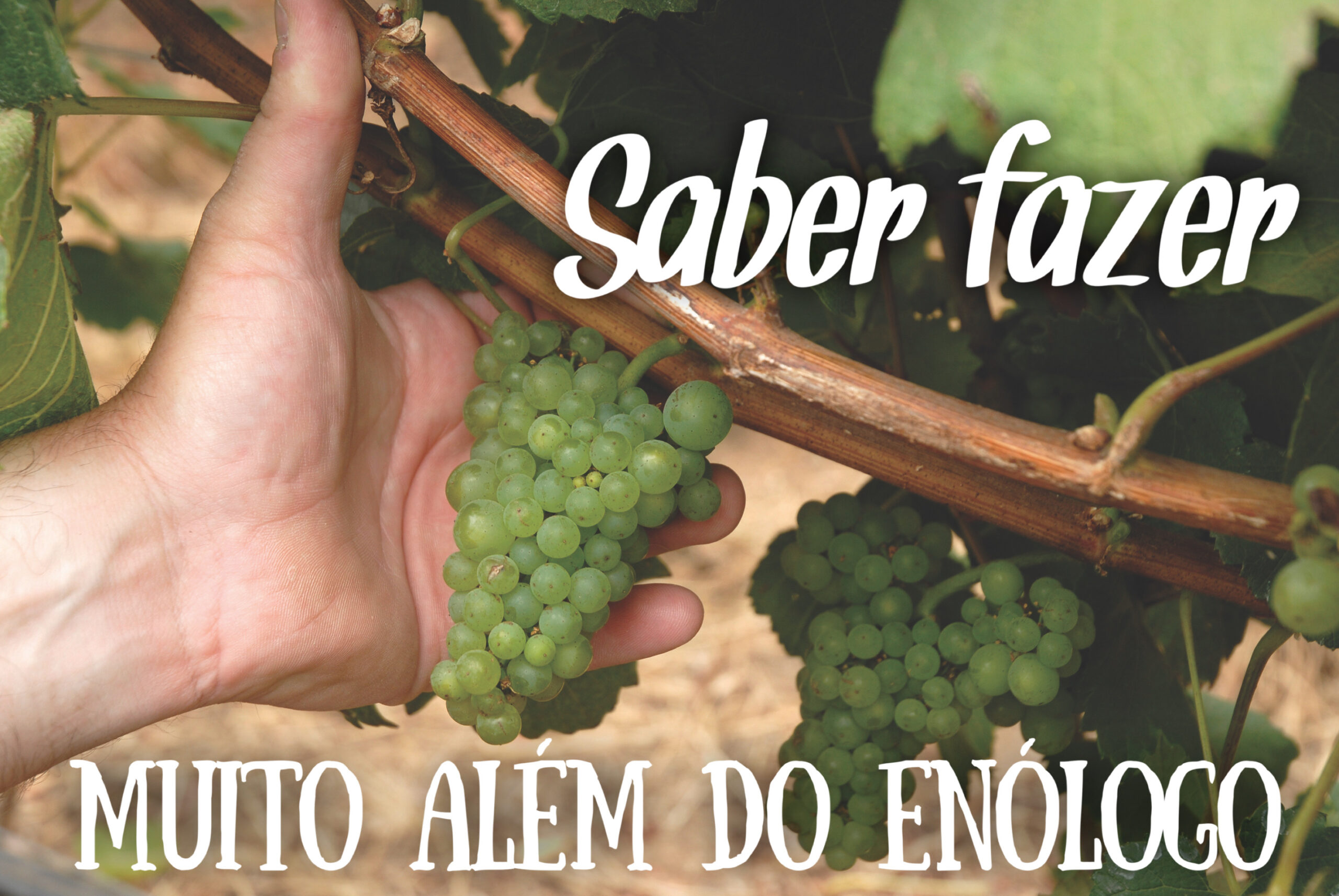 Terroir, ou a terceira perna da mesa