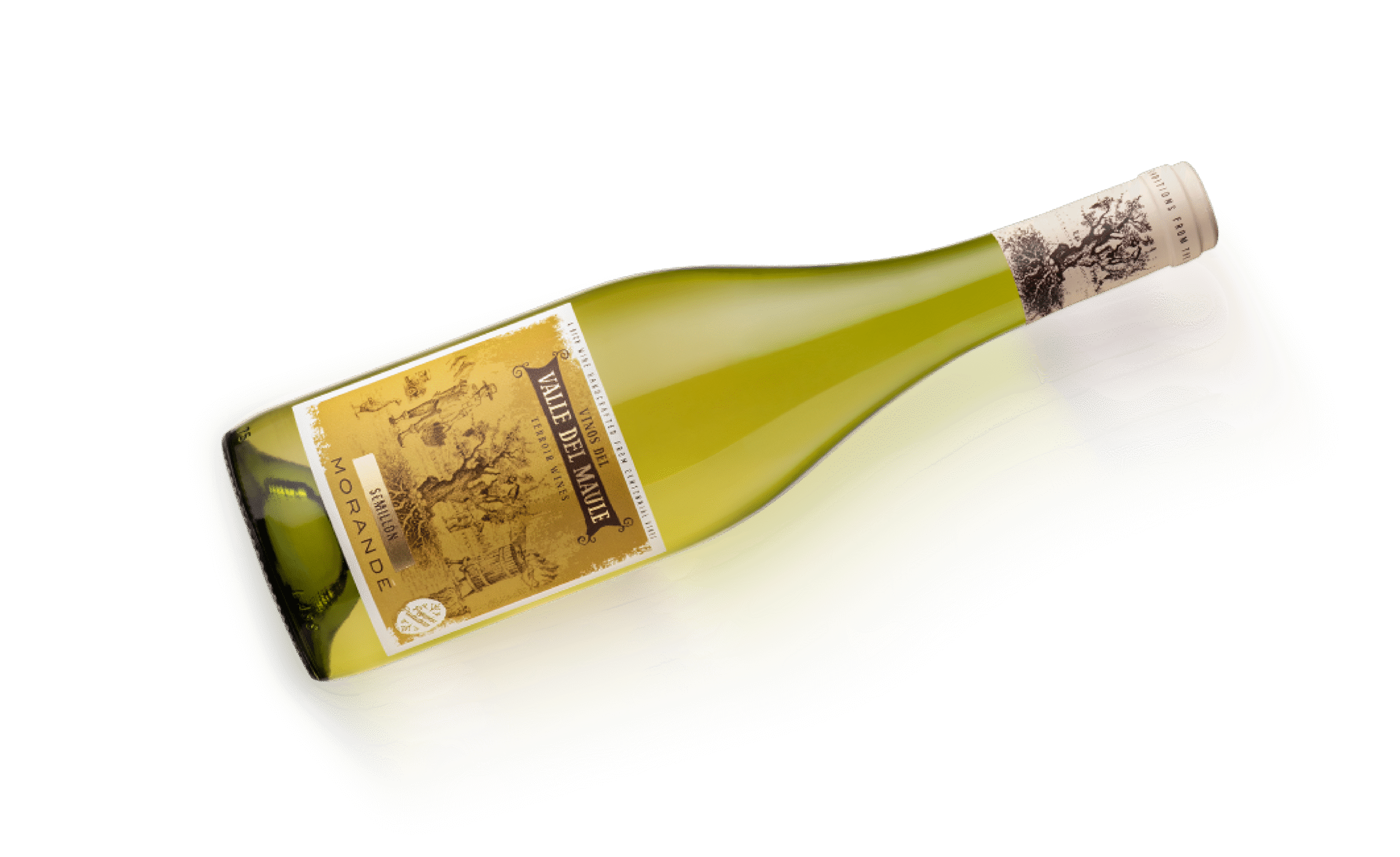 Botella House of Morandé