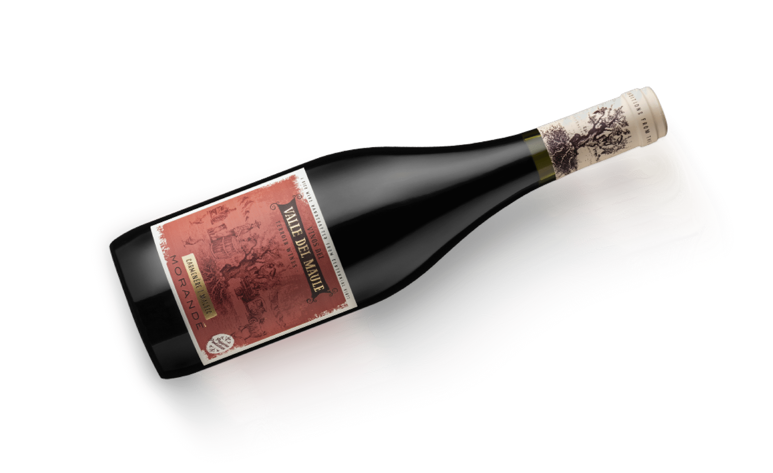 Botella House of Morandé