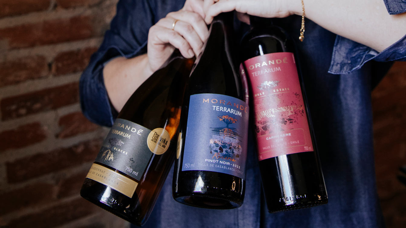 TERRARUM: UN TRIBUTO A LA TIERRA Y A LOS MEJORES TERROIRS DE CHILE