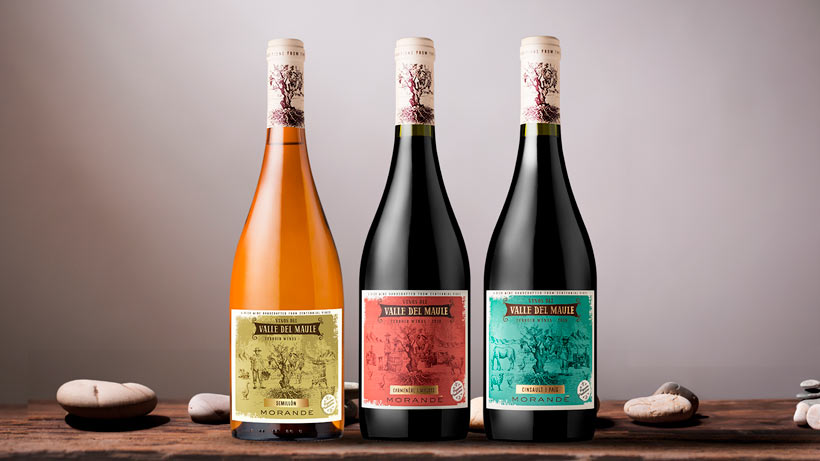 TERROIR WINES: UNIENDO EL VIEJO Y EL NUEVO CHILE VITIVINÍCOLA